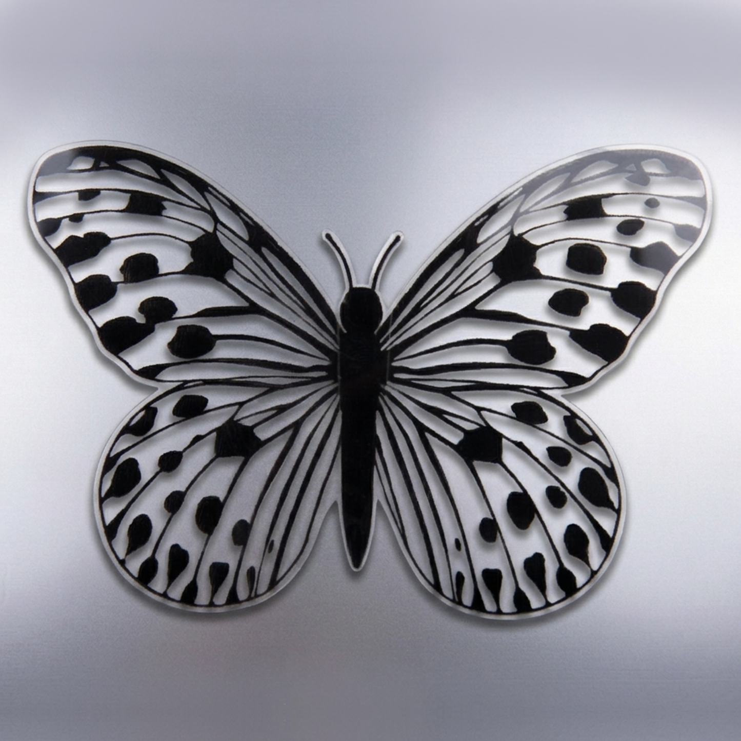 Black See Through Butterfly