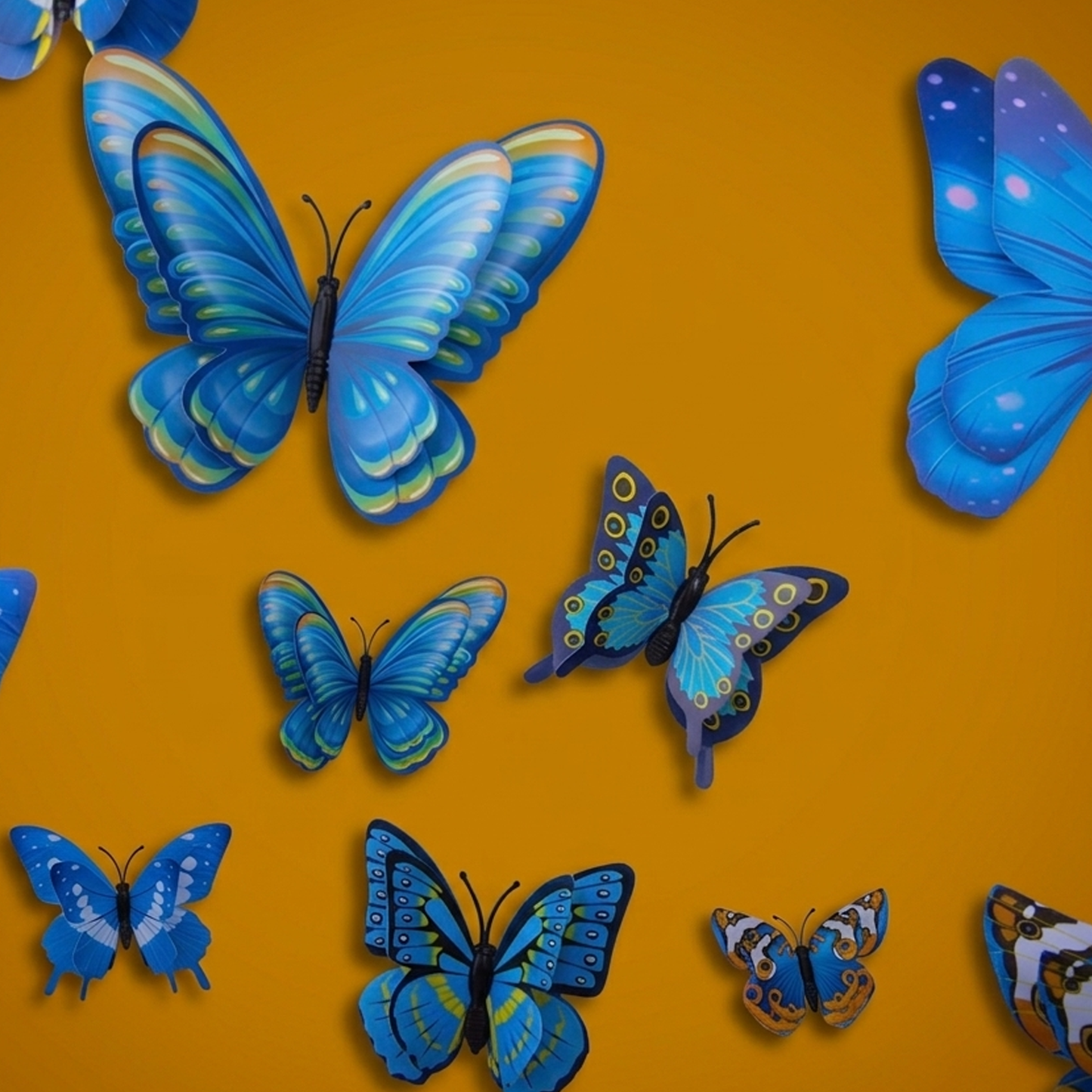 Blue And Yellow
