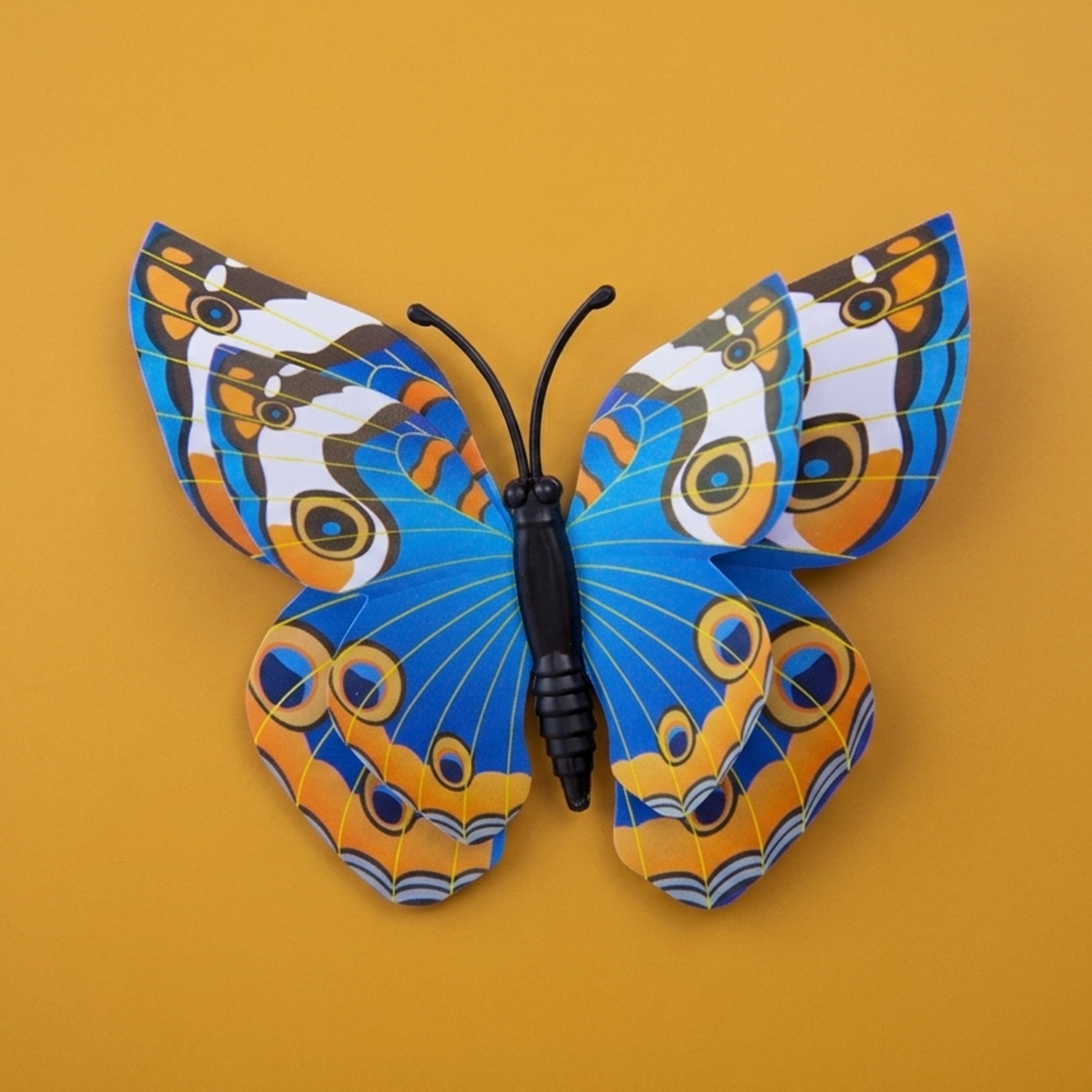 Blue And Yellow