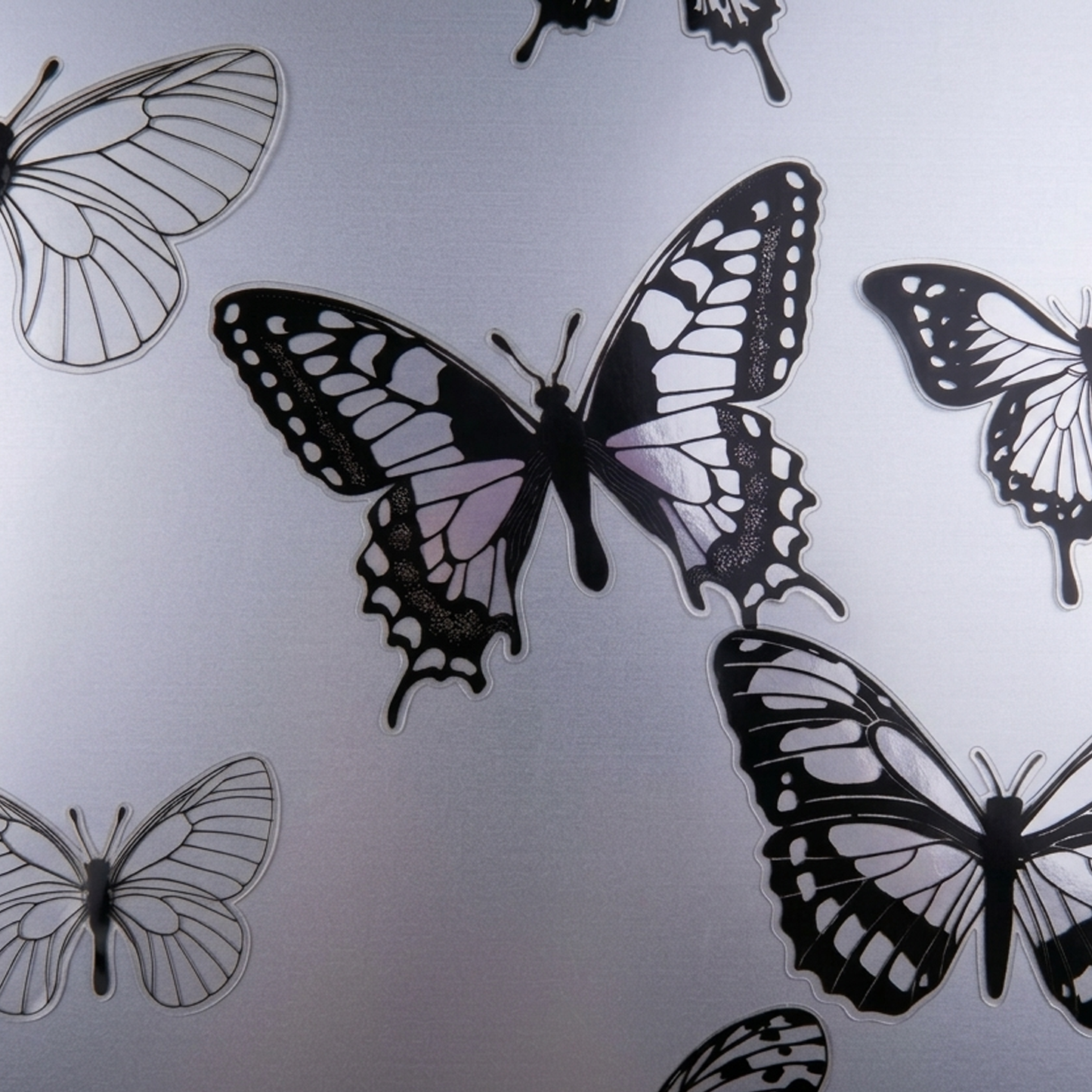 Black See Through Butterfly