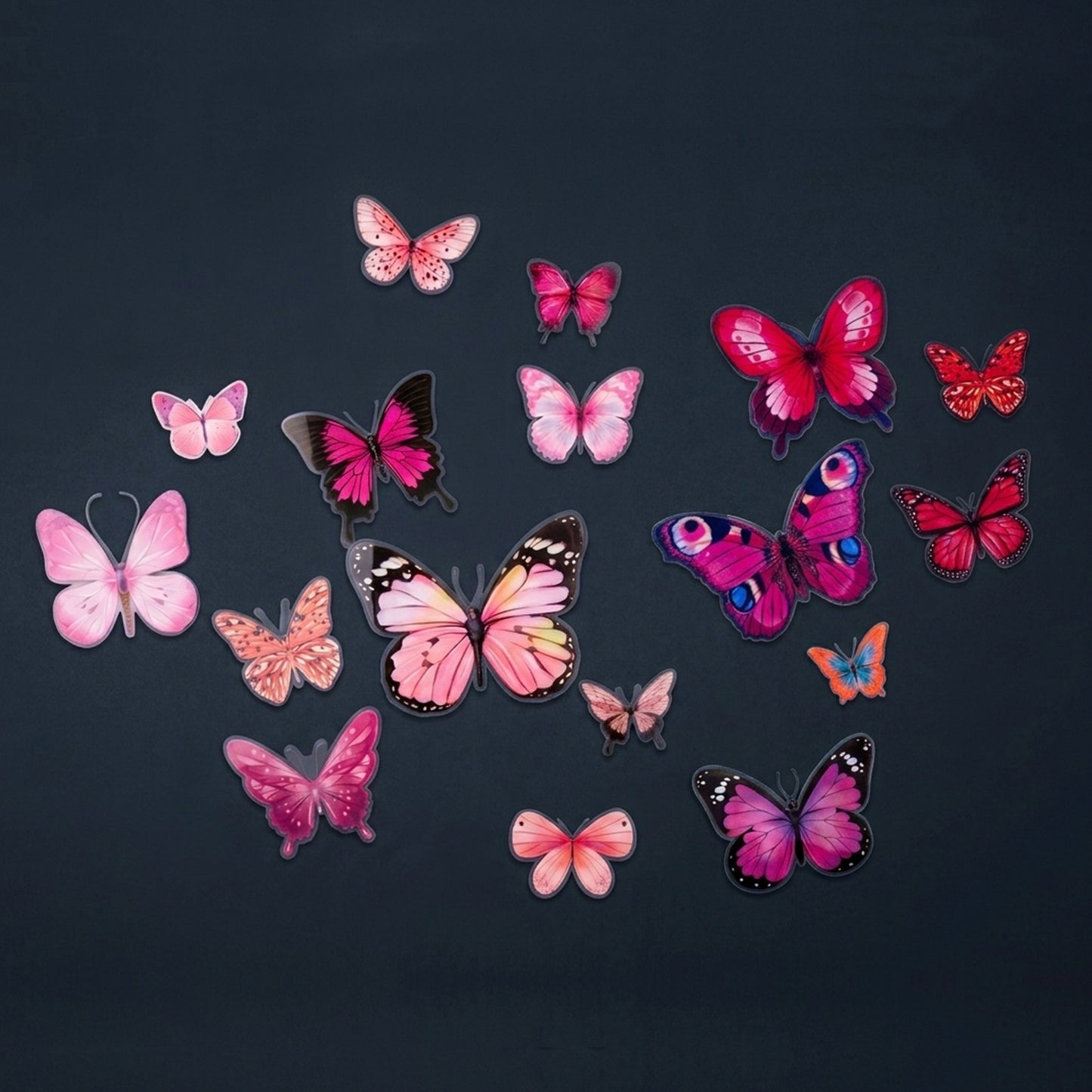 Pink Yellow And Black Butterfly