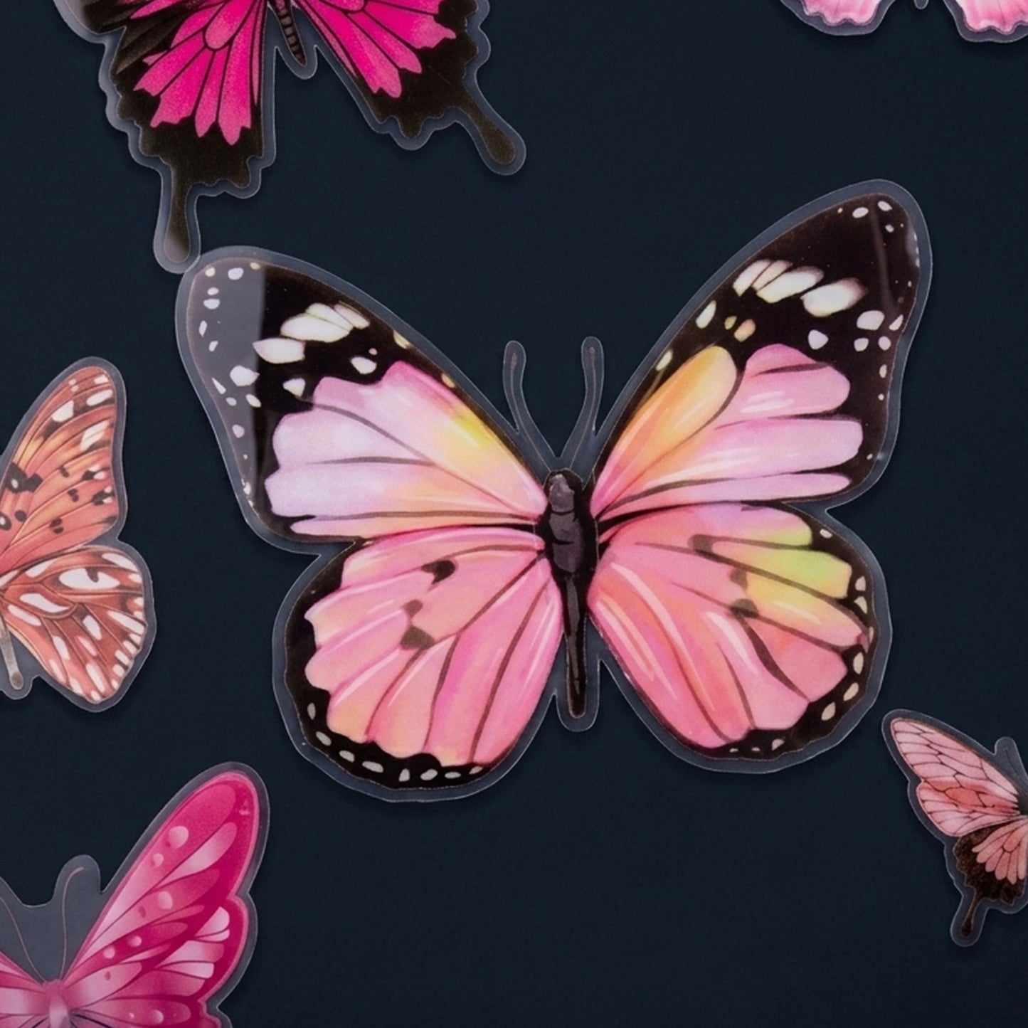 Pink Yellow And Black Butterfly